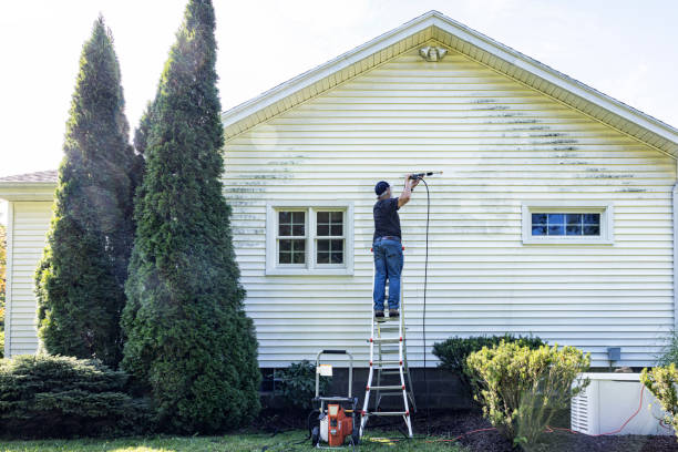 Best Roof Washing  in Port Royal, SC